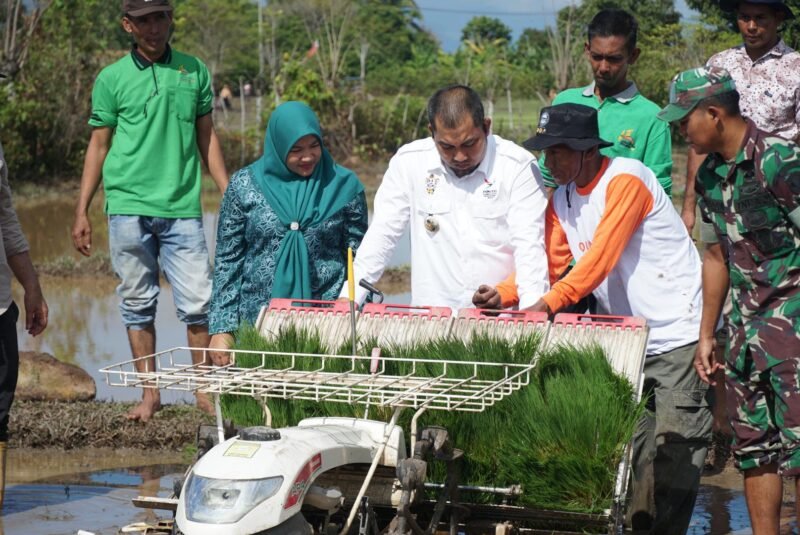 Pj Bupati Aceh Besar Muhammad Iswanto SSTP MM,
bersama Pj Ketua TP PKK Aceh Besar Cut Rezky Handayani SIP MM mencoba penggunaan mesin rice transplanter, di Gampong Bueng, Kecamatan Kota Jantho, Kabupaten Aceh Besar, Kamis (2/1/2025). Foto: dok. MC Aceh Besar