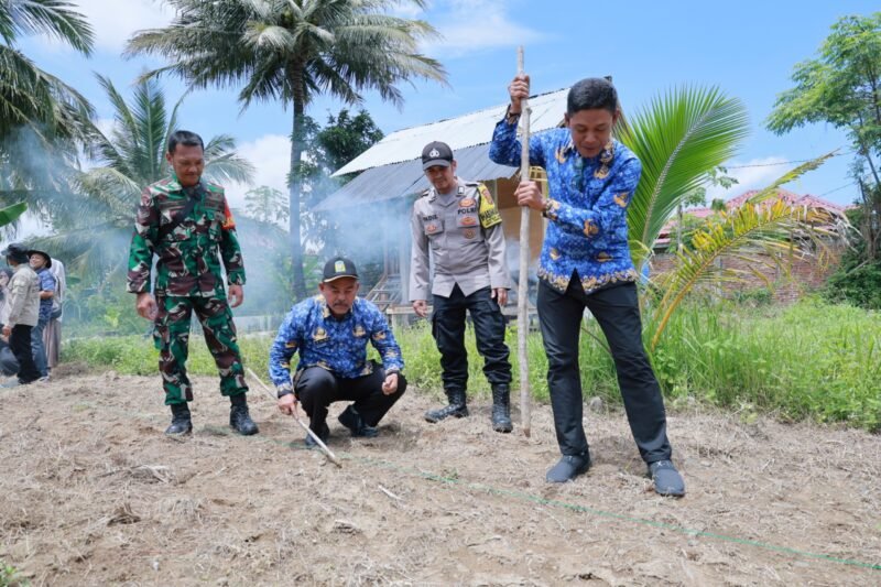 Asisten II Sekda Aceh Besar, M Ali SSos MSi, bersama unsur Forkopimcam Darussalam menanam bibit kacang koro, pada Pelatihan Pertanian Regeneratif dan Budidaya Kacang Koro yang digagas oleh Rumoh Pangan Aceh, di Gampong Lampeudaya, Kecamatan Darussalam, Kamis (17/4/2025). FOTO/ MC ACEH BESAR