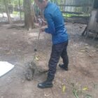 Petugas Damkar BPBD Aceh Besar menangkap seekor ular piton dari kandang ayam milik warga di Gampong Ketapang, Kecamatan Lhoong, Kabupaten Aceh Besar, Rabu (21/5/2025). FOTO/ DOK BPBD ACEH BESAR