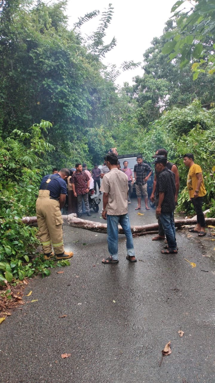 Petugas BPBD Aceh Besar bersama masyarakat, melakukan pembersihan dahan pohon tumbang di jalan lintas Krueng Raya-Lamteuba, Aceh Besar, Sabtu (7/6/2025). FOTO/ DOK BPBD ACEH BESAR
