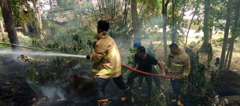 Petugas Damkar BPBD Aceh Besar melakukan pendinginan pada kebakaran lahan yang terjadi, di kawasan Sukamulia, Kecamatan Lembah Seulawah, Kabupaten Aceh Besar, Rabu (2/7/2025). FOTO/ MC ACEH BESAR