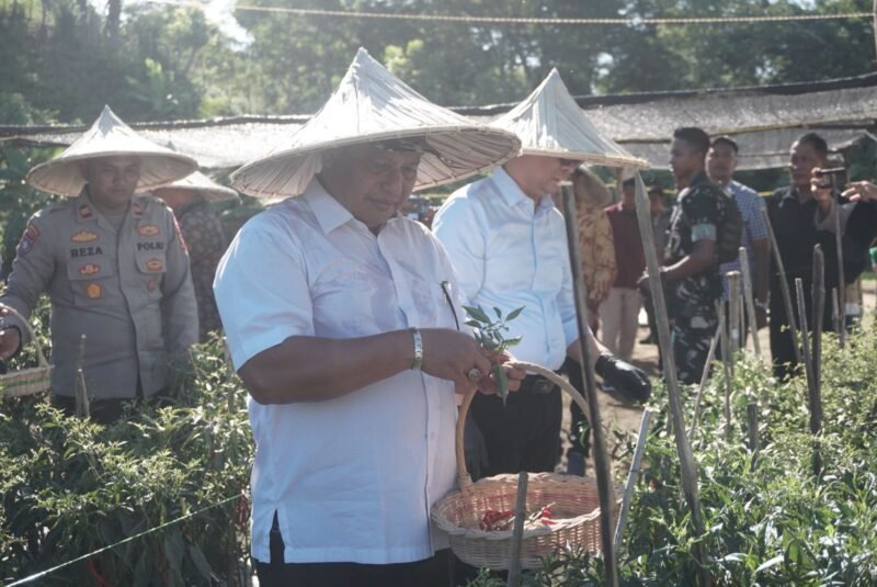 Sekda Aceh Besar Bahrul Jamil S.Sos MSi panen cabe program ketahanan pangan Rumah Tahanan Negara (Rutan) Lepas IIB di Kota Jantho, Kamis (17/07/2025).FOTO/MC ACEH BESAR