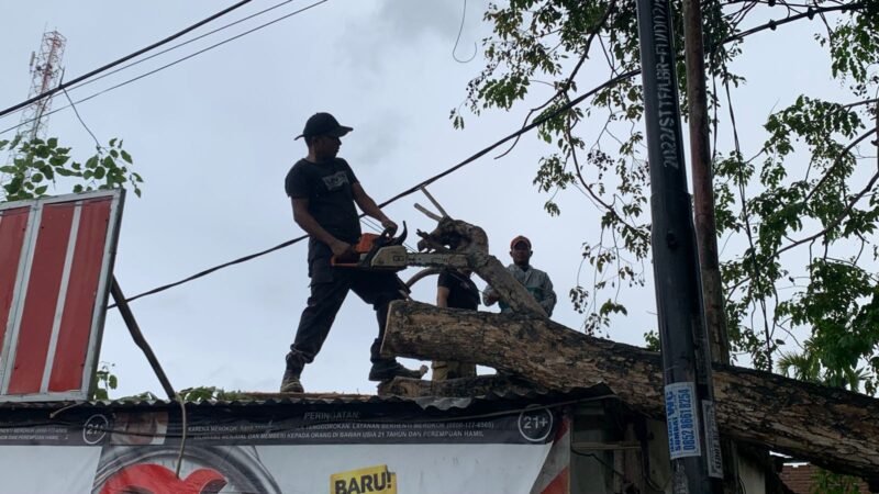 Petugas Damkar BPBD Aceh Besar melakukan pembersihan dahan pohon tumbang yang menimpa bangunan akibat angin kencang, di wilayah Aceh Besar, Minggu (20/7/2025). FOTO/ DOK MC ACEH BESAR