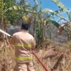 Petugas Damkar BPBD Aceh Besar melakukan pendinginan di sekitar lahan dan rumpun bambu yang terbakar, di Kawasan Gampong Pakuk, Kecamatan Kuta Cot Glie, Kabupaten Aceh Besar, Selasa (26/8/2025). FOTO/ MC ACEH BESAR