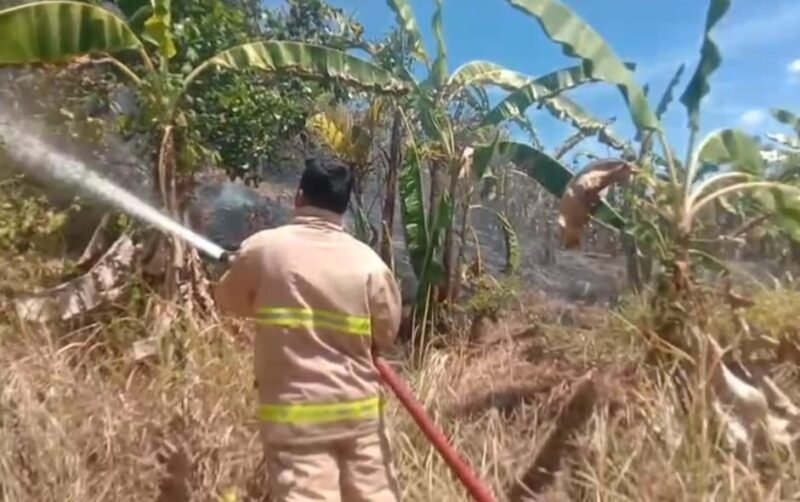 Petugas Damkar BPBD Aceh Besar melakukan pendinginan di sekitar lahan dan rumpun bambu yang terbakar, di Kawasan Gampong Pakuk, Kecamatan Kuta Cot Glie, Kabupaten Aceh Besar, Selasa (26/8/2025). FOTO/ MC ACEH BESAR