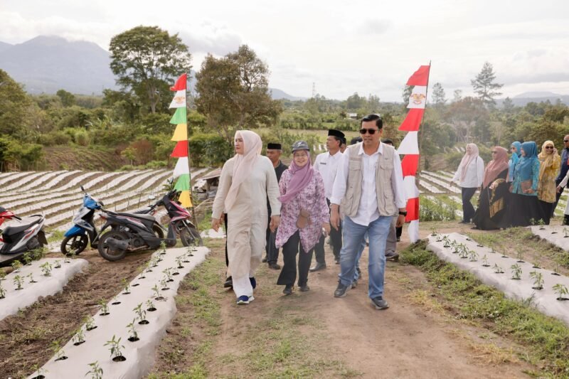Ketua TP-PKK Aceh, Marlina Usman, bersama Bupati Aceh Tengah, Drs. Haili Yoga, M.Si, Ketua TP-PKK Aceh Tengah, Risnawati Haili Yoga, dan Kepala Dinas Pertanian dan Perkebunan Aceh, Cut Huzaimah, MP, mengunjungi kebun cabai sekaligus melakukan penanaman bibit cabai, serta menyerahkan bantuan sosial kepada masyarakat Desa Pondok Balik, Kecamatan Ketol, Kabupaten Aceh Tengah, Jumat 29/8/2025 (Foto:Dok.Biro Adpim Setda Aceh)