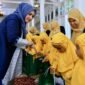 Bunda PAUD Aceh, Marlina Muzakir, didampingi Ketua Pokja Bunda PAUD Aceh, Mukarramah Fadhlullah, serta Wakil Ketua Pokja Bunda PAUD Aceh, Malahayati M. Nasir, menyambut anak-anak PAUD di Pendopo Gubernur Aceh, Banda Aceh, Kamis (18/9/2025). Foto : Dok. Biro Adpim Setda Aceh