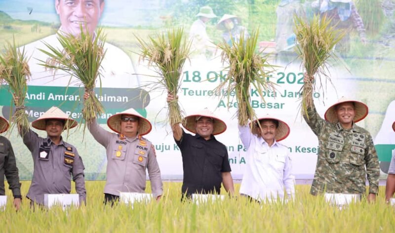 Bupati Aceh Besar Muharram Idris Panen Padi Bersama Kementan RI di Gampong Terbeh, Kota Jantho, Sabtu (18/10/2025) FOTO /PROKOPIM PEMKAB ACEH BESAR