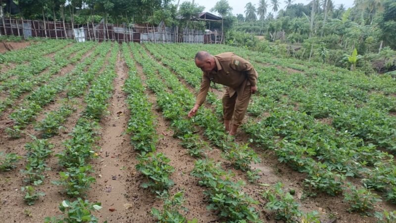Camat Darul Kamal, Subhan, SE, MM, mengajak masyarakat untuk memanfaatkan lahan kosong, di Kecamatan Darul Kamal, Kabupaten Aceh Besar, Senin (20/10/2025).FOTO/ MC ACEH BESAR