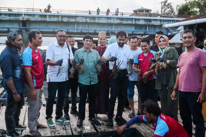 Gubernur Aceh, Muzakir Manaf memanen lobster di keramba milik nelayan di kawasan Ulee Lheue, Kota Banda Aceh, Selasa (4/11/2025) sore. Foto : Dok. Biro Adpim Setda Aceh