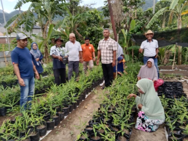 Para Ibu-Ibu Pengrajin Kanji Glee Taron Kuliner Khas Aceh Besar Gampong Leu Ue Mengikuti Pembinaan Dari Hasan Bin Banta Ketua LPHD Rimueng Tuhan, Hasbi Ketua KTNA Darul Imarah dan Zura Amali, SP Penyuluh Kehutanan KPH Wilayah I Aceh Zura Amali, SP di Lokasi Budidaya Jahee, Gampong Leu Ue, Darul Imarah, Aceh Besar., Minggu, (18/01/2026). FOTO/MC ACEH BESAR