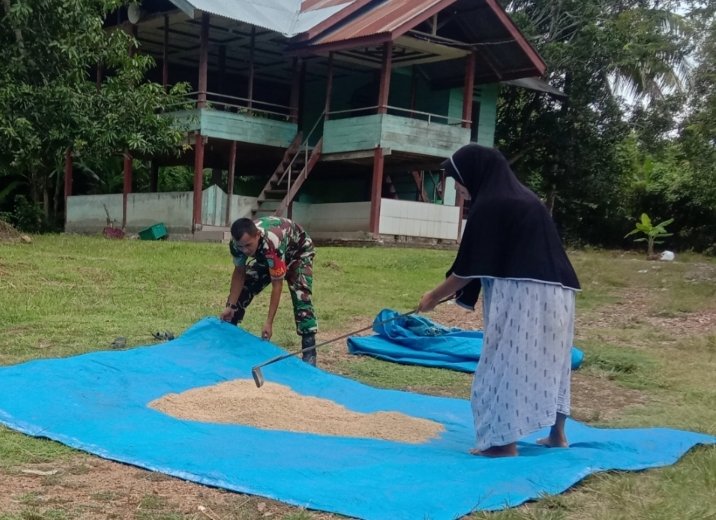 Babinsa Koramil 21/BB Serda Nadi mendampingi warga Desa Cot Malem saat menjemur padi hasil panen sebagai bentuk kepedulian dan dukungan terhadap sektor pertanian masyarakat binaan.(24/01/2026).