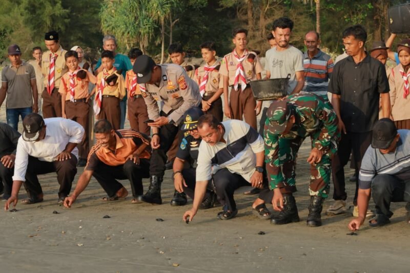 Asisten II Sekda Aceh Besar M Ali SSos MSi, ikut melakukan pelepasan tukik (bibit penyu), di Pantai Blang Mee, Gampong Lamkuta, Kecamatan Lhoong, Kabupaten Aceh Besar, Jumat (30/1/2026). FOTO/ MC ACEH BESAR