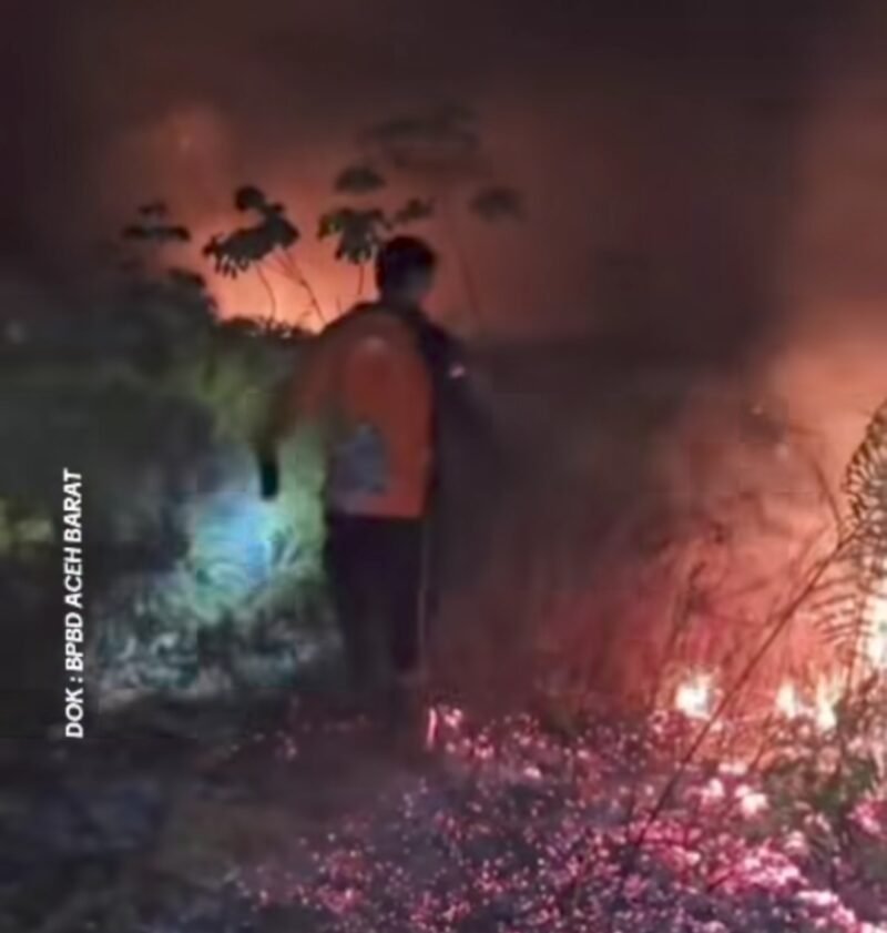 Kabut asap tebal menyelimuti wilayah Desa Suak Raya, Kecamatan Johan Pahlawan, Aceh Barat, akibat kebakaran lahan gambut yang meluas hingga puluhan hektare, Rabu (21/1/2026).