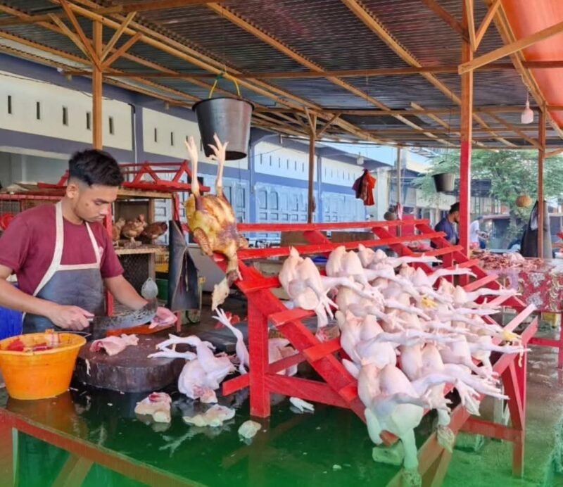 Pedagang ayam potong melayani pembeli di Pasar Induk Lambaro Aceh Besar. Pasokan ayam dari Medan ke Aceh kini kembali normal pascaberakhirnya masa tanggap darurat, meski harga jual masih bervariasi.(24/01/2026).