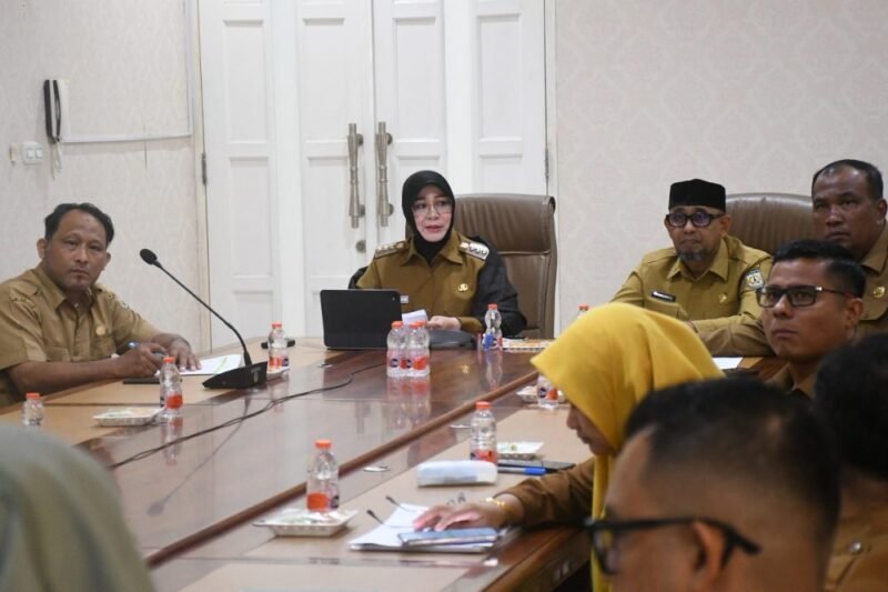 Banda Aceh dan Higashimatsushima bersinergi wujudkan pembangunan kota tangguh, Selasa 20/1/2025