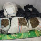 Petugas Ditresnarkoba Polda Aceh memperlihatkan barang bukti ganja seberat sekitar 50 kilogram beserta terduga pelaku yang diamankan dalam pengungkapan kasus peredaran narkotika di Kabupaten Bireuen.(19/2/2026)