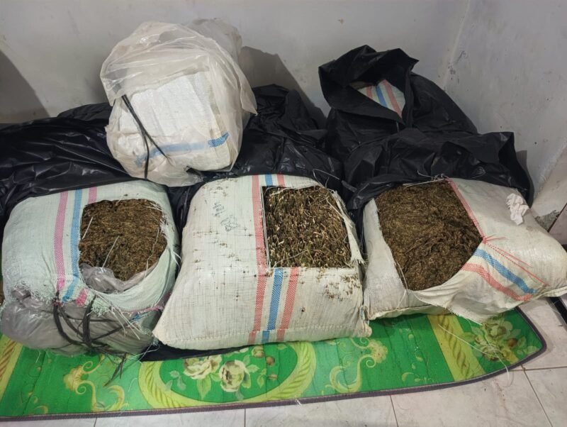 Petugas Ditresnarkoba Polda Aceh memperlihatkan barang bukti ganja seberat sekitar 50 kilogram beserta terduga pelaku yang diamankan dalam pengungkapan kasus peredaran narkotika di Kabupaten Bireuen.(19/2/2026)