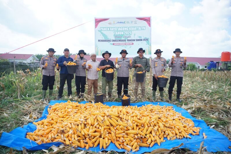 Kapolres Lhokseumawe bersama unsur Dinas Pertanian, BPS, dan manajemen PT Satya Agung melakukan panen raya jagung di lahan seluas 5 hektar di Kecamatan Simpang Keuramat, Aceh Utara, sebagai dukungan terhadap program ketahanan pangan nasional.(21/2/2026)