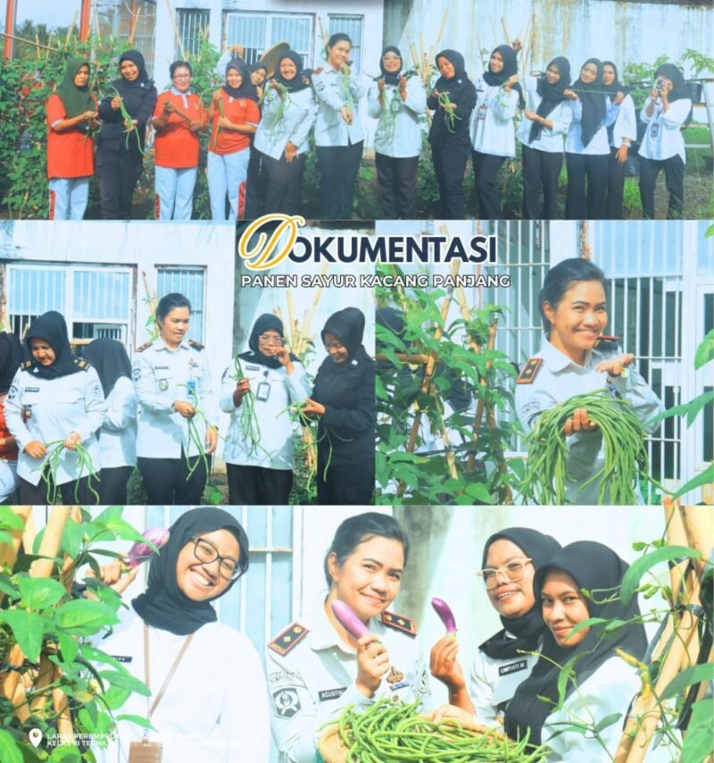 Kalapas Perempuan Kelas III Ternate Agustina bersama pejabat struktural dan warga binaan saat memanen kacang panjang di lahan ketahanan pangan Lapas, Kamis (12/2/2026).