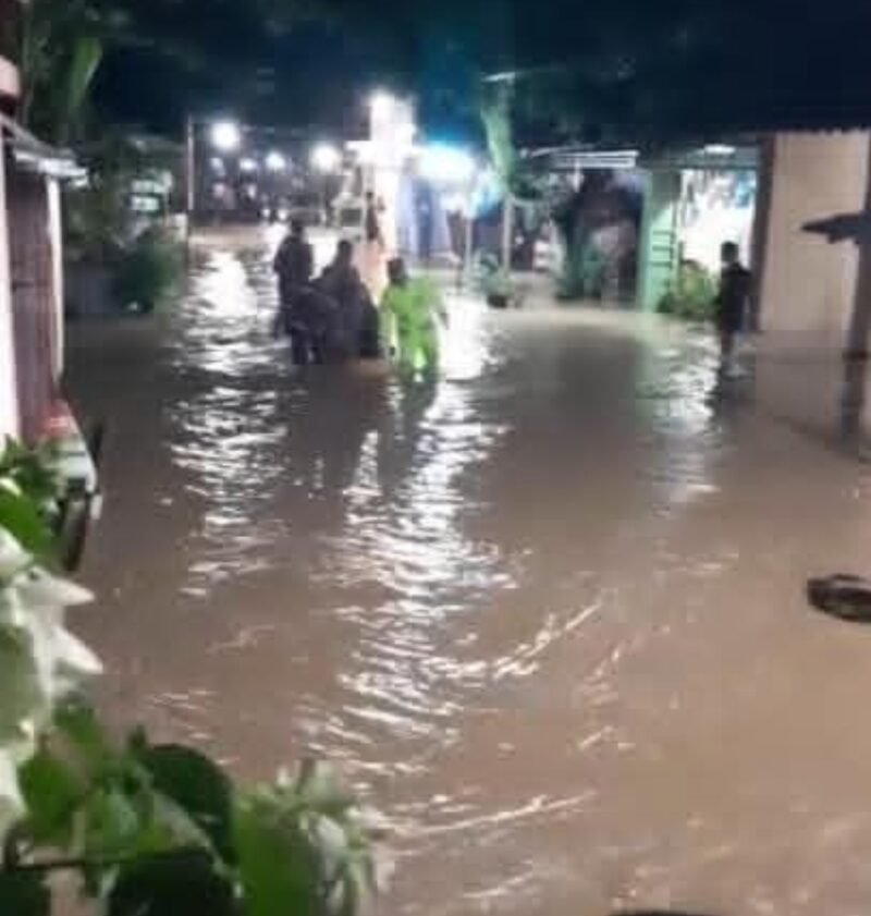 Petugas BPBD bersama warga melakukan pembersihan material pascabanjir dan pohon tumbang akibat hujan lebat dan angin kencang yang melanda sejumlah wilayah di Jawa Tengah, Februari 2026.