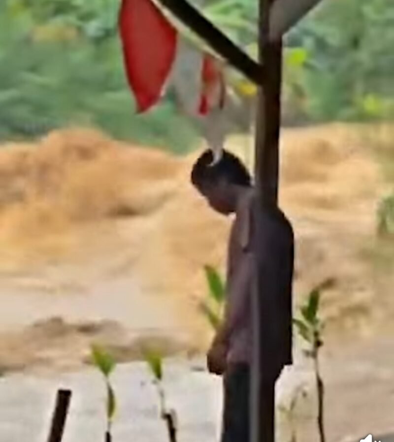 Luapan air Sungai Cileungsi yang berstatus Siaga 1 merendam Kampung Lebak dan memutus akses Jalan Raya Pisangan, Bekasi, Kamis (12/2/2026) dini hari akibat banjir kiriman dari Bogor.