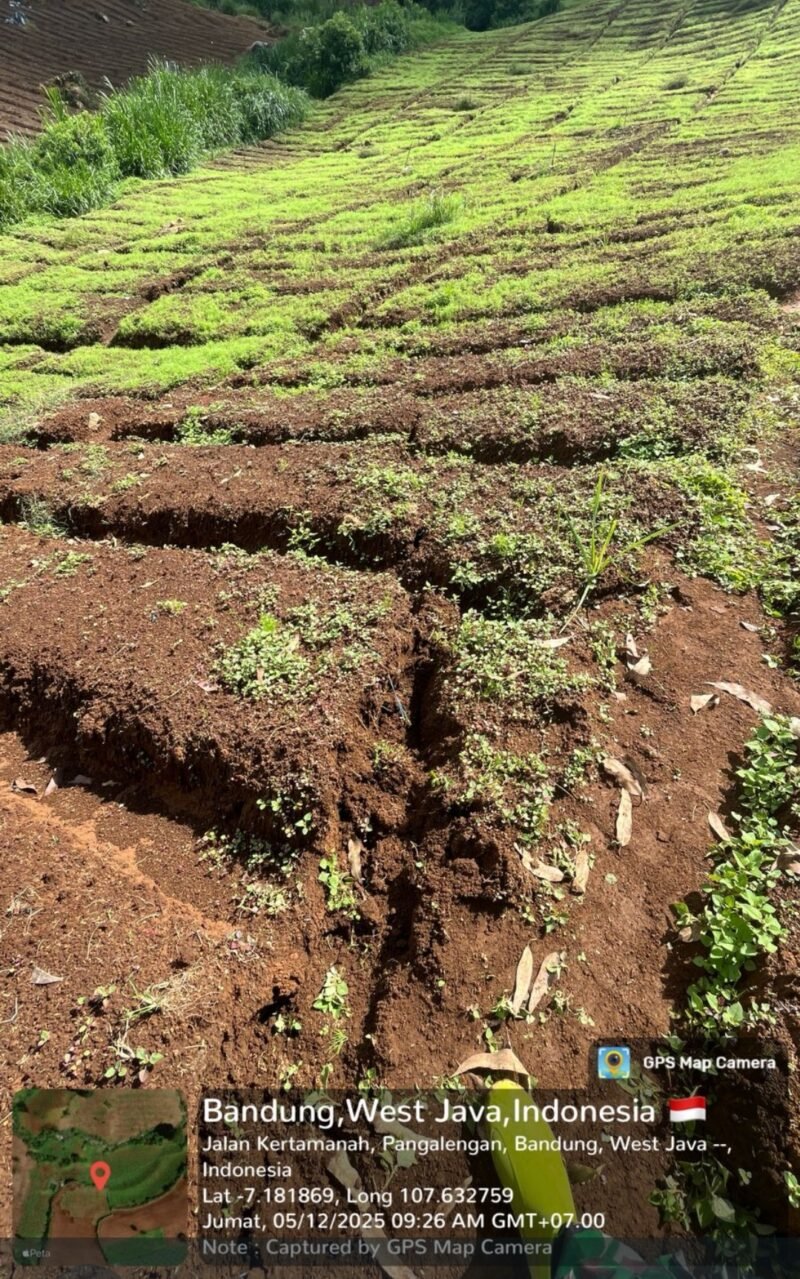 Kondisi lahan di kawasan Pangalengan yang dialihfungsikan dari kebun teh milik PTPN menjadi pertanian kentang di area lereng, memicu kekhawatiran akan meningkatnya risiko tanah longsor.(16/2/2026).