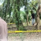 Petugas kepolisian melakukan olah TKP di lokasi ditemukannya seorang pria meninggal dunia di area perkebunan kelapa sawit di Kecamatan Banda Alam, Kabupaten Aceh Timur, Sabtu (21/2/2026).