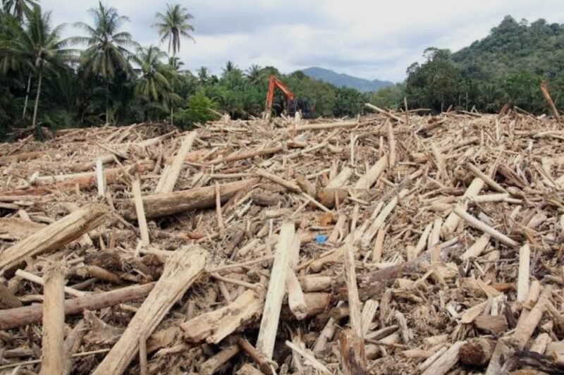 Petugas meninjau tumpukan sampah kayu hanyutan pascabencana hidrometeorologi di Aceh. Penanganan material masih menunggu kepastian administrasi dan regulasi sebelum