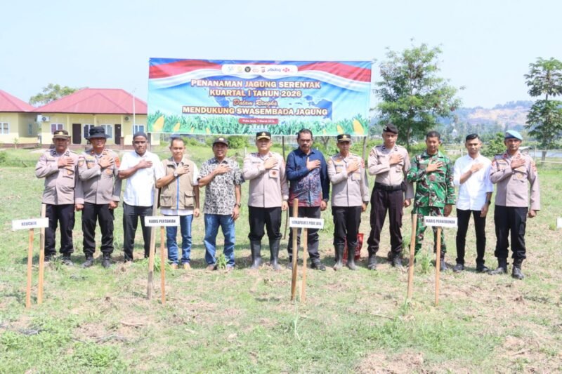 Personel Polres Pidie Jaya bersama unsur pemerintah daerah mengikuti penanaman jagung serentak Kuartal I Tahun 2026 di lahan kebun jagung Polres Pidie Jaya, Gampong Teungkluet, Kecamatan Trienggadeng, Sabtu (7/3/2026), sebagai dukungan terhadap program swasembada jagung dan ketahanan pangan nasional. 🌽