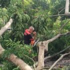 Kepala DLHK Aceh Besar bersama warga membersihkan batang pohon tumbang yang melintang di jalan kawasan Simpang Lubok, Sabtu (18/4/2026). FOTO/ MC ACEH BESAR