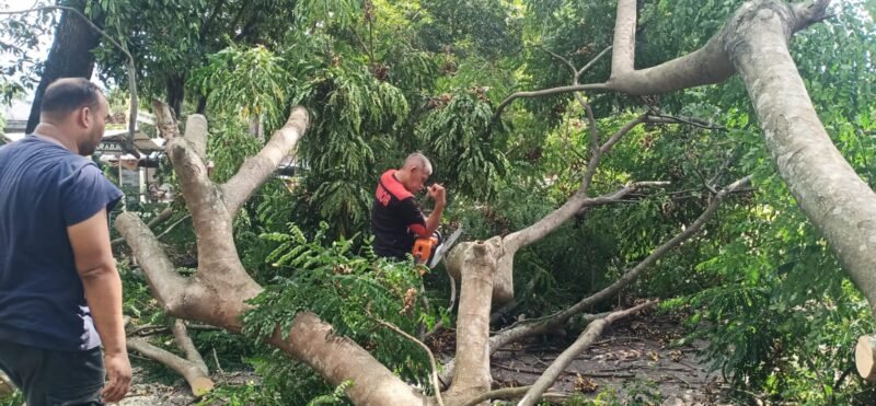 Kepala DLHK Aceh Besar bersama warga membersihkan batang pohon tumbang yang melintang di jalan kawasan Simpang Lubok, Sabtu (18/4/2026). FOTO/ MC ACEH BESAR