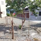 Kondisi tiang pagar dan kawat duri yang mengelilingi tanah lokasi pembangunan gedung Koperasi Merah Putih di Gampong Bukit Musara, Kecamatan Kota Jantho, Aceh Besar, Senin (18/5/2026). 