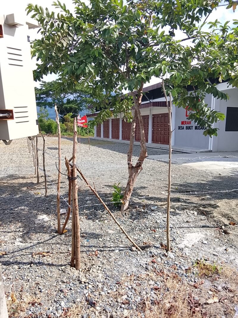 Kondisi tiang pagar dan kawat duri yang mengelilingi tanah lokasi pembangunan gedung Koperasi Merah Putih di Gampong Bukit Musara, Kecamatan Kota Jantho, Aceh Besar, Senin (18/5/2026). 
