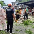 Gerak cepat Tim Reaksi Cepat (TRC) BPBD Kota Banda Aceh mengevakuasi pohon tumbang akibat cuaca ekstrem di kawasan Banda Aceh. Warga diimbau untuk tetap waspada saat berkendara di tengah hujan deras dan angin kencang. (Foto: Dok. BPBD Banda Aceh)