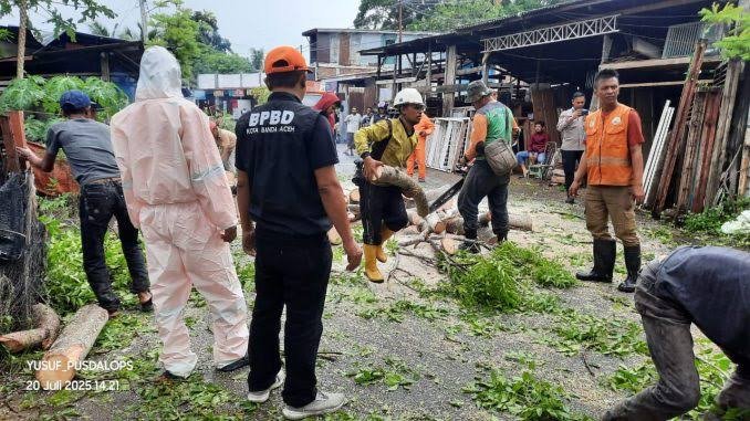 Gerak cepat Tim Reaksi Cepat (TRC) BPBD Kota Banda Aceh mengevakuasi pohon tumbang akibat cuaca ekstrem di kawasan Banda Aceh. Warga diimbau untuk tetap waspada saat berkendara di tengah hujan deras dan angin kencang. (Foto: Dok. BPBD Banda Aceh)