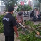 Hujan lebat disertai angin kencang yang melanda Kota Banda Aceh pada 19-20 Mei 2026 mengakibatkan sejumlah pohon tumbang di beberapa titik, seperti di Kecamatan Kuta Alam, Baiturrahman, dan Ulee Kareng.