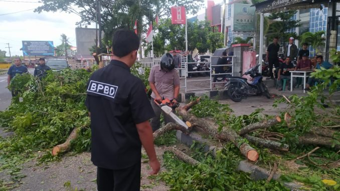 Hujan lebat disertai angin kencang yang melanda Kota Banda Aceh pada 19-20 Mei 2026 mengakibatkan sejumlah pohon tumbang di beberapa titik, seperti di Kecamatan Kuta Alam, Baiturrahman, dan Ulee Kareng.