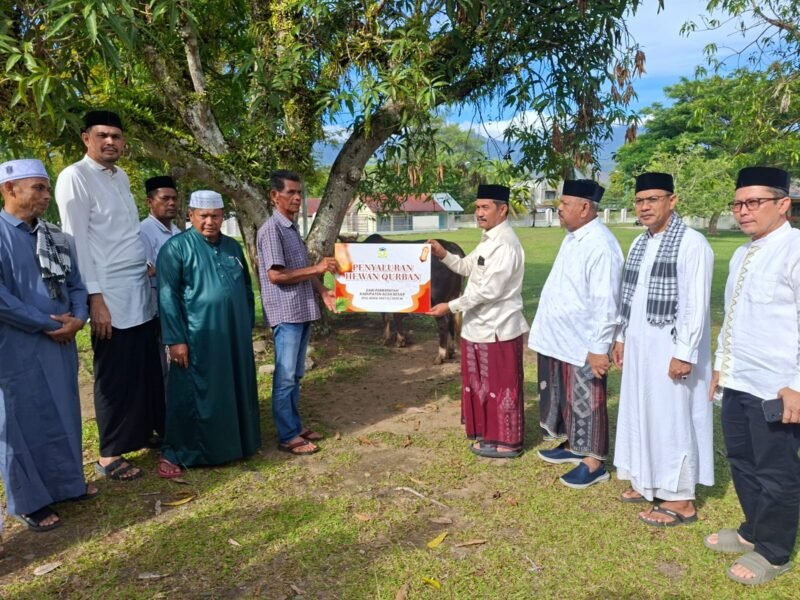Wakil Bupati menyalurkan hewan qurban bantuan Pemerintah Kabupaten Aceh Besar kepada masyarakat dalam rangka menyambut Hari Raya Iduladha 1447 Hijriah. Penyerahan hewan qurban tersebut berlangsung di Halaman Masjid Agung Al Munawarrah, Kota Jantho, Rabu (27/5/2026). FOTO/MC ACEH BESAR