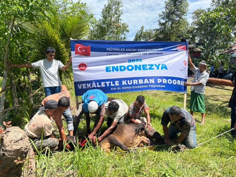 Perwakilan lembaga kemanusiaan asal Turkiye, Turkiye Diyanet Vakfi (TDV), bersama pengurus Dayah Irsyadul Abidin Al-Amiriyah memantau langsung kondisi dan prosesi penyembelihan 100 ekor sapi kurban di Gampong Cot Malem, Blang Bintang, Aceh Besar, Jumat (29/5/2026).