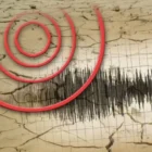 Petugas BMKG Stasiun Geofisika Kelas I Palu terus memantau pergerakan seismik pascagempa magnitudo 6,7 yang mengguncang Sulawesi Tengah, Minggu (21/6/2026).