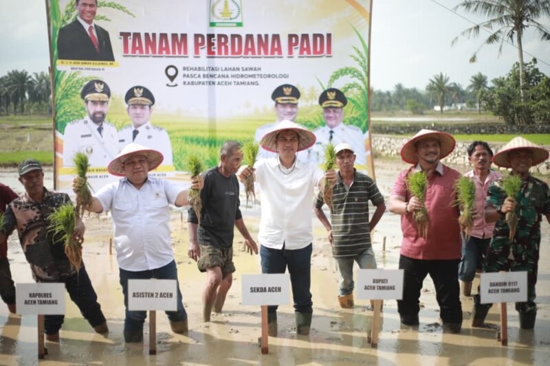 Sekretaris Daerah (Sekda) Aceh, M. Nasir, melakukan penanaman padi perdana secara simbolis dalam gerakan tanam padi perdana pasca-bencana hidrometeorologi di Desa Bukit Panjang, Kecamatan Karang Baru, Aceh Tamiang, Minggu (5/7/2026).