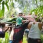 Petugas kepolisian bersama warga saat mengevakuasi jasad wanita berinisial NA (29) yang ditemukan mengapung di aliran Krueng Aceh, Kecamatan Ingin Jaya, Aceh Besar, Rabu (15/7/2026).