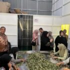 Wali Kota Banda Aceh Illiza Sa’aduddin Djamal meninjau langsung pelaku usaha 