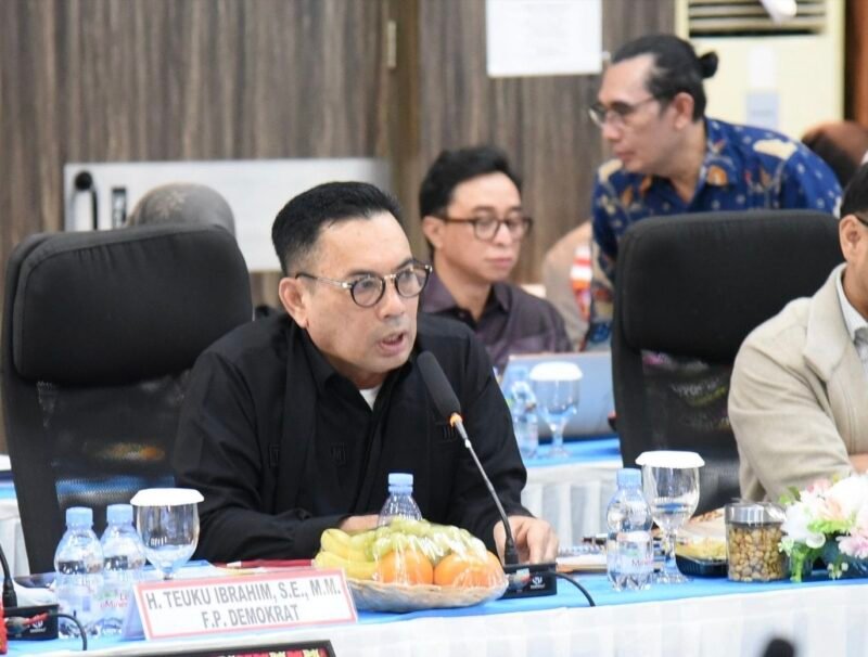 Anggota DPR RI Fraksi Partai Demokrat HT Ibrahim atau Ampon Bram meninjau PT Solusi Bangun Andalas (SBA) di Aceh, Rabu (19/8/2026).