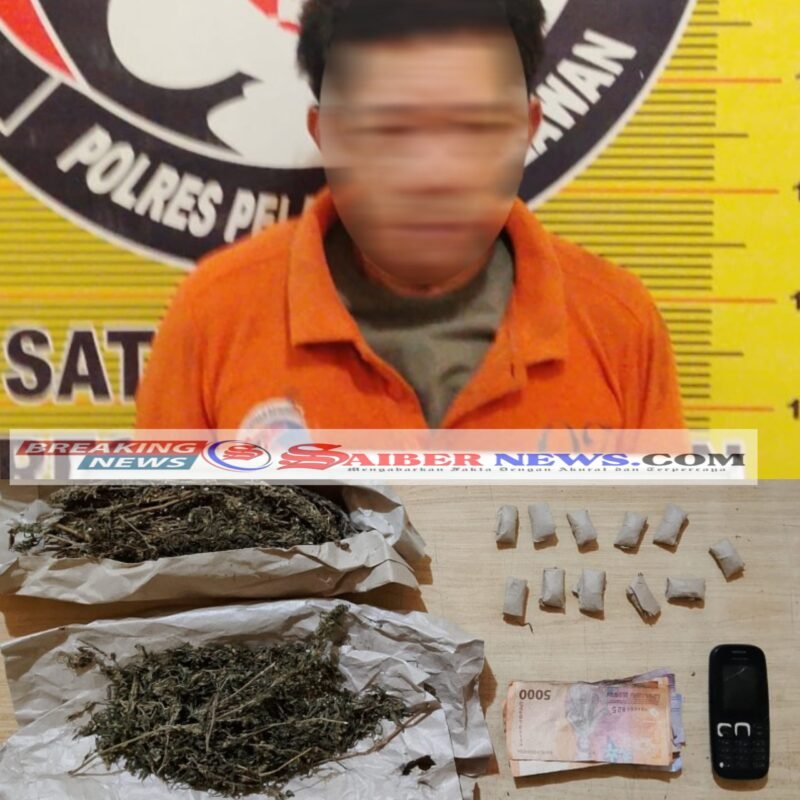 Satuan Reserse Narkoba Polres Pelabuhan Belawan mengamankan seorang pria berinisial Z (57) yang diduga sebagai pengedar narkotika jenis ganja di Desa Sei Bahari, Kecamatan Hamparan Perak, Rabu 29 Juli 2026.