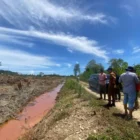 Pemerintah Kabupaten Aceh Jaya melalui Dinas Pertanian mendapat alokasi APBN 2026 untuk mencetak sawah rakyat baru seluas 1.000 hektare.