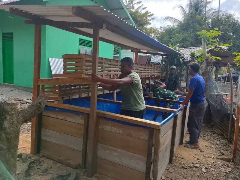 Personel Satgas TMMD ke-129 Kodim 0102/Pidie menyiapkan bibit ikan lele dan ayam petelur di Desa Lhok Panah, Kecamatan Sakti, Pidie, Senin (10/8/2026).