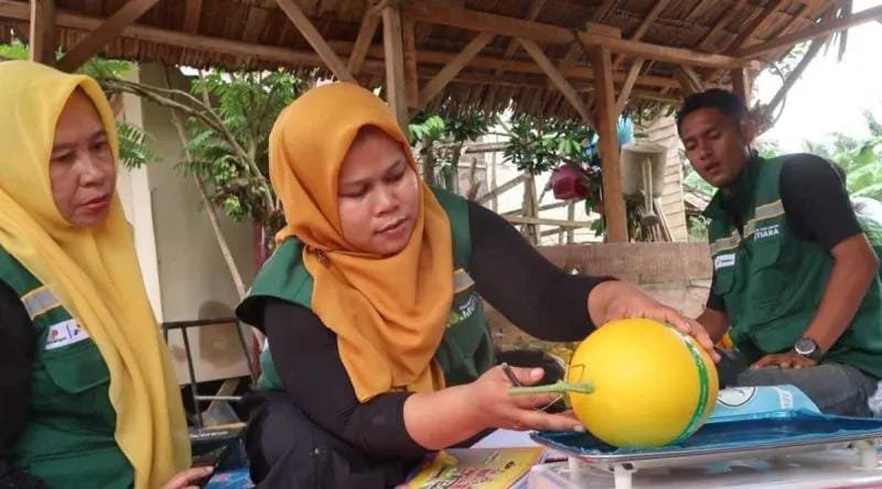Pemkab Aceh Tamiang melalui Dinas Pertanian, Peternakan, dan Perkebunan mengembangkan budi daya melon sebagai upaya pemulihan ekonomi masyarakat pascabanjir.