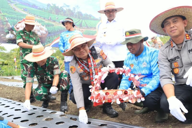 Kapolda Aceh Irjen Pol. Ruddi Setiawan melakukan penanaman bawang putih secara langsung di lahan pertanian Kampung Paya Tungel, Kecamatan Jagong Jeget, Kabupaten Aceh Tengah, Rabu (19/8/2026).